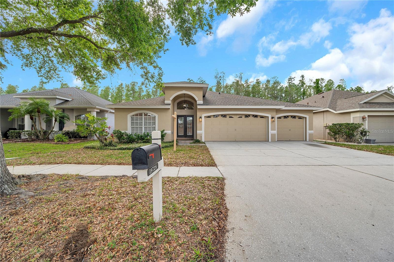 19728 MORDEN BLUSH DR, LUTZ, FL, 33558