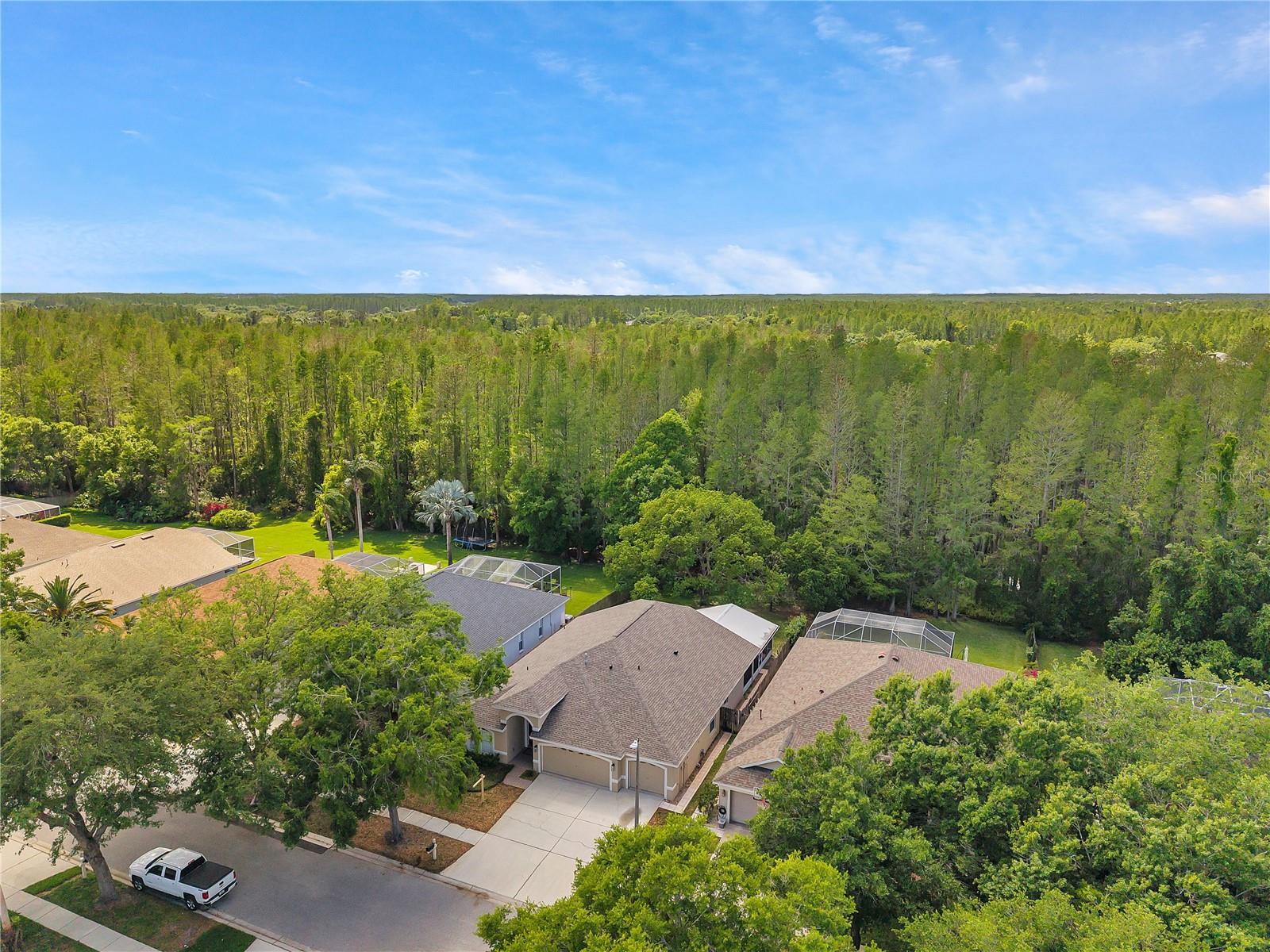 19728 MORDEN BLUSH DR, LUTZ, FL, 33558