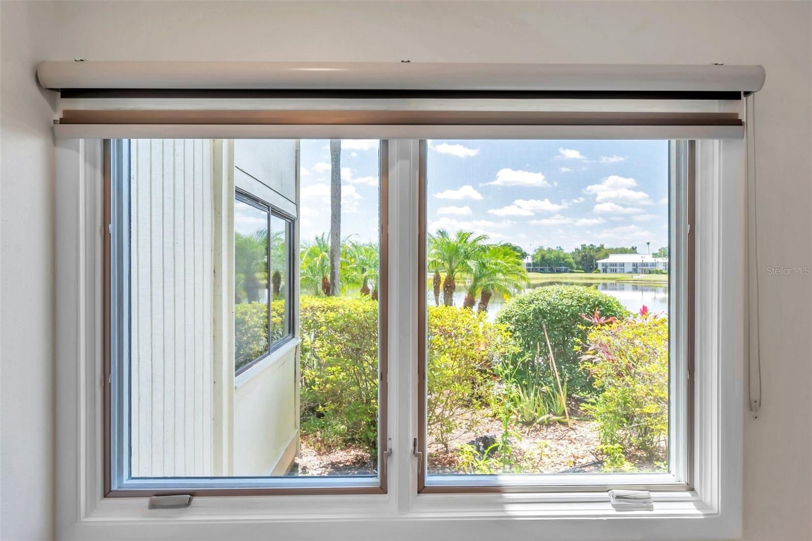 WESLEY CHAPEL, FL, 33543