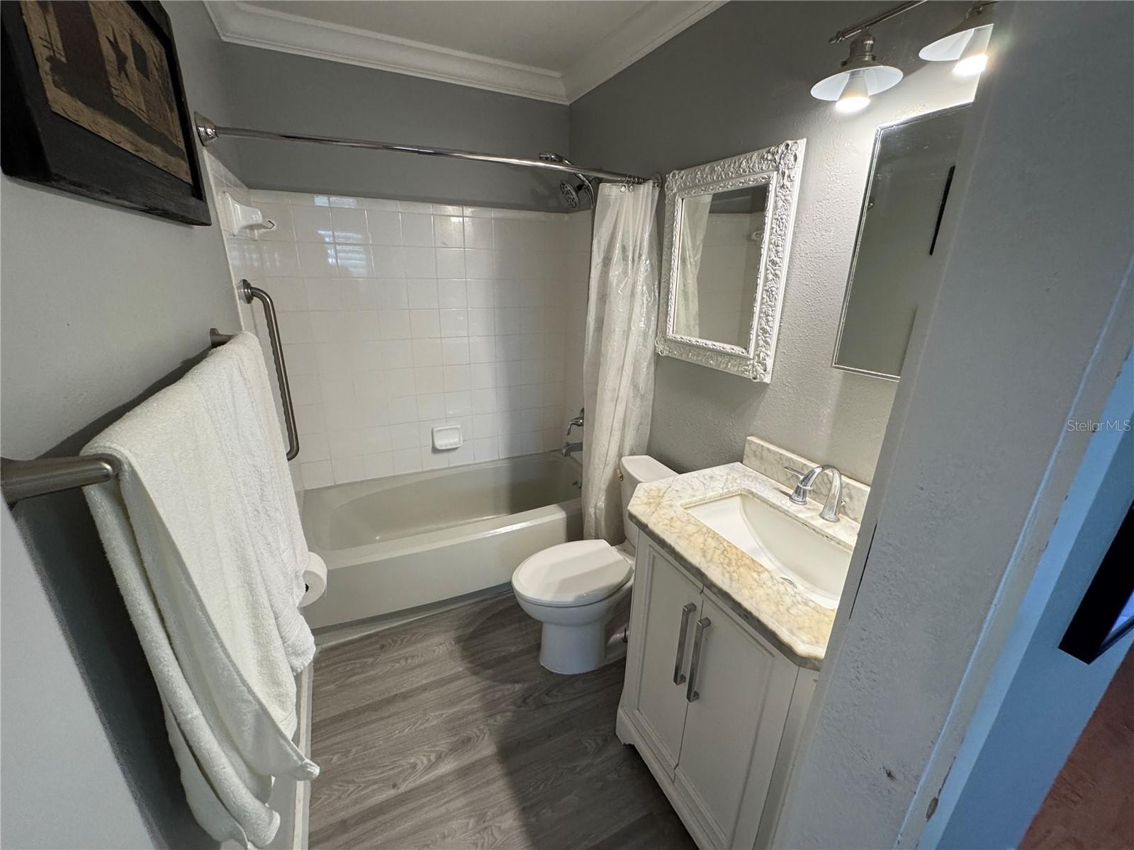 3845 SW 148TH PL, OCALA, FL, 34473
