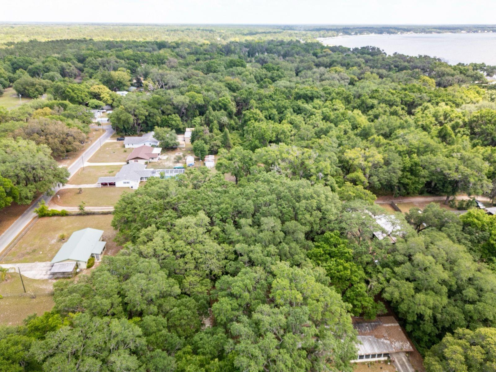 SE 128TH TER, OCKLAWAHA, FL, 32179
