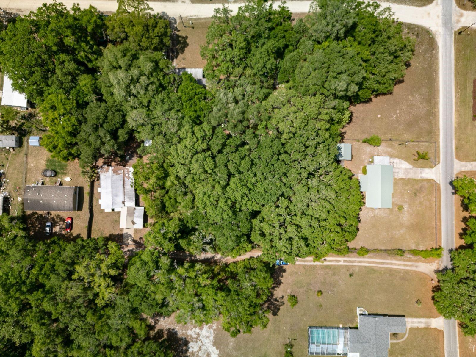 SE 128TH TER, OCKLAWAHA, FL, 32179
