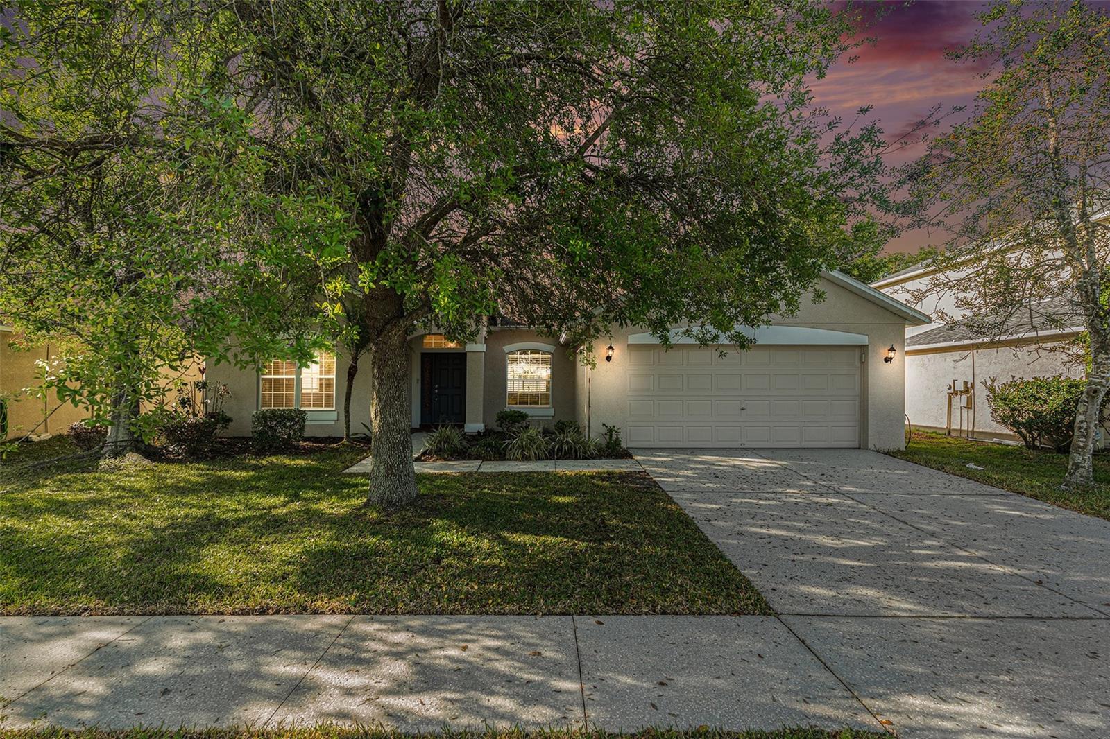 19033 TILOBE LOOP, LAND O LAKES, FL, 34638