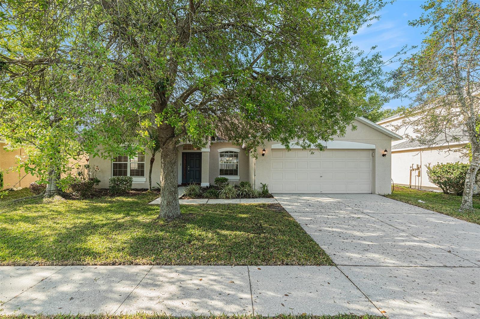 19033 TILOBE LOOP, LAND O LAKES, FL, 34638