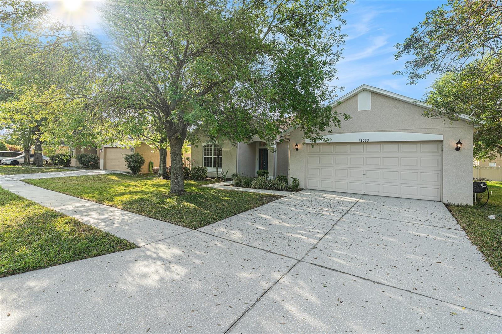 19033 TILOBE LOOP, LAND O LAKES, FL, 34638