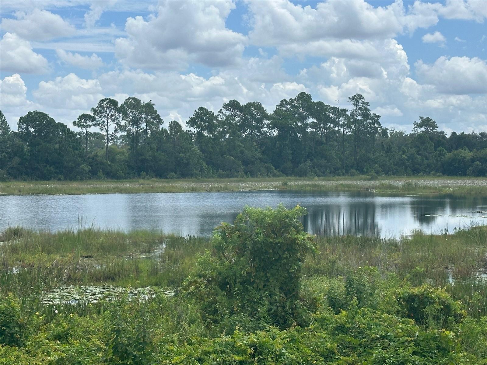 7071 SPRING PARK DR, WINTER GARDEN, FL, 34787