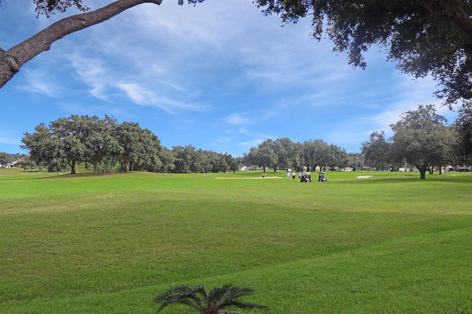 4723 SAINT ANDREWS ARC, LEESBURG, FL, 34748