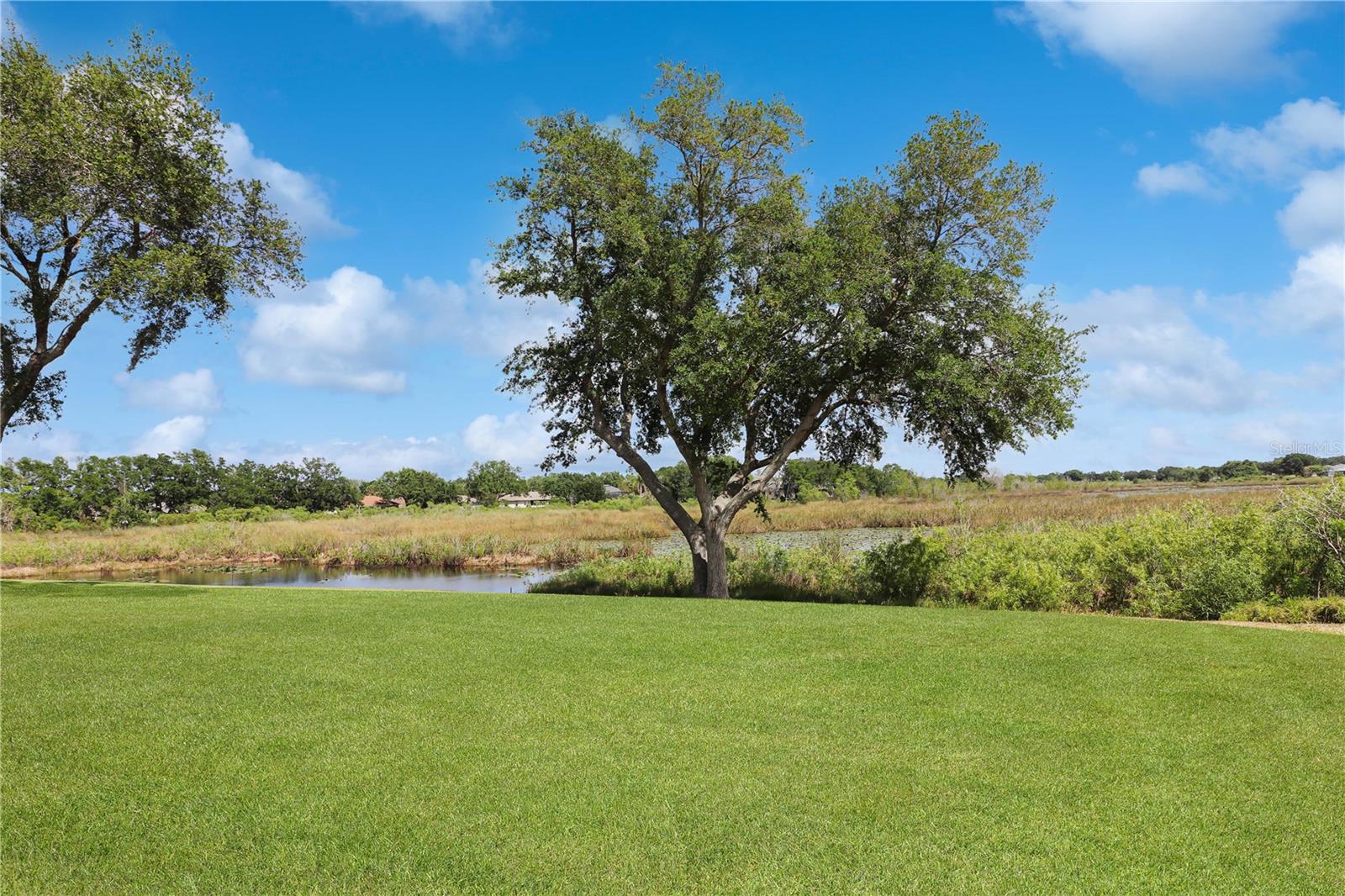 4723 SAINT ANDREWS ARC, LEESBURG, FL, 34748