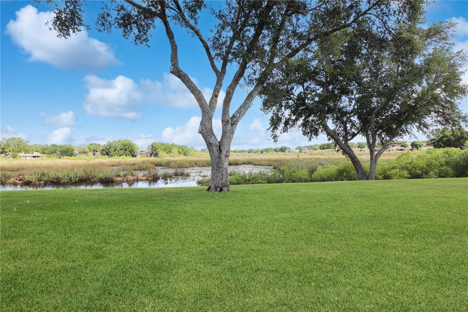 4723 SAINT ANDREWS ARC, LEESBURG, FL, 34748