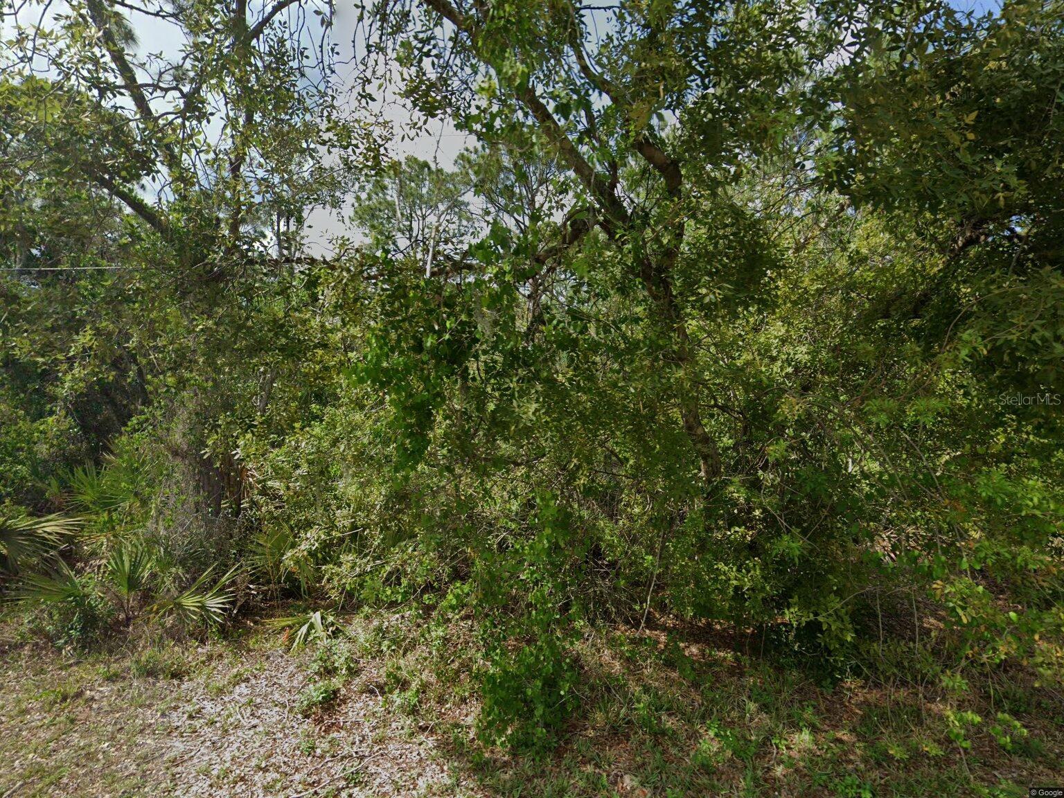 236 ELEANOR BLVD, LAKE PLACID, FL, 33852