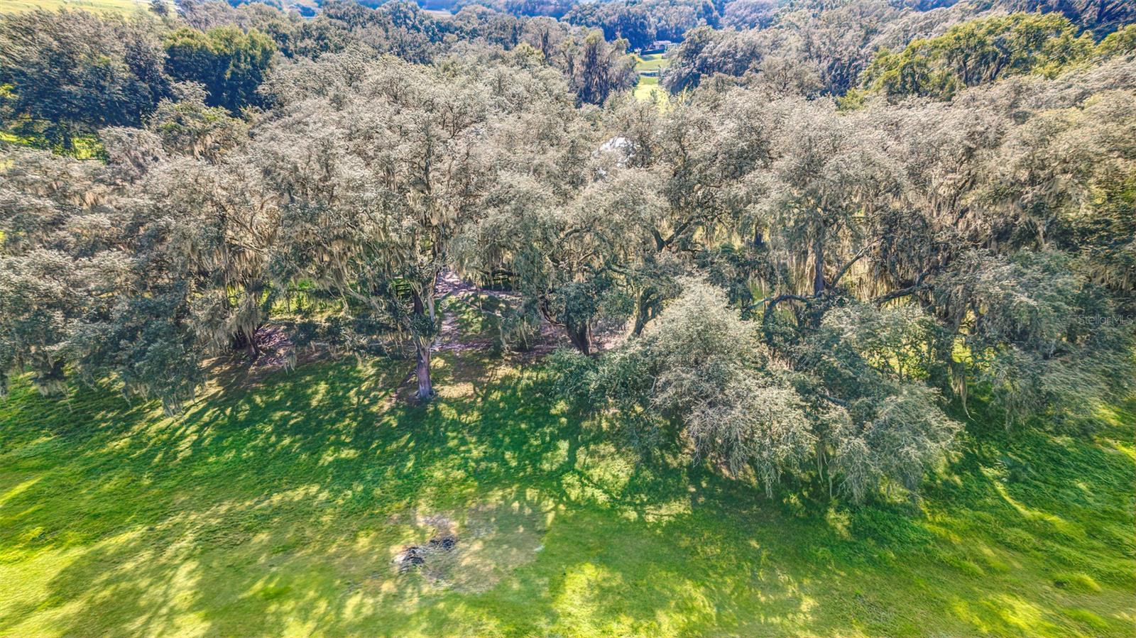 4292 SW 73RD TRL, BUSHNELL, FL, 33513