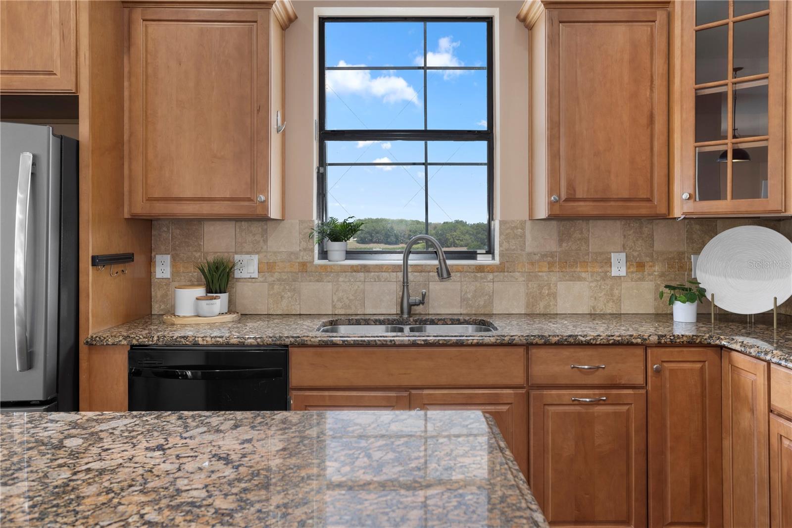 36813 BARRINGTON DR, EUSTIS, FL, 32736