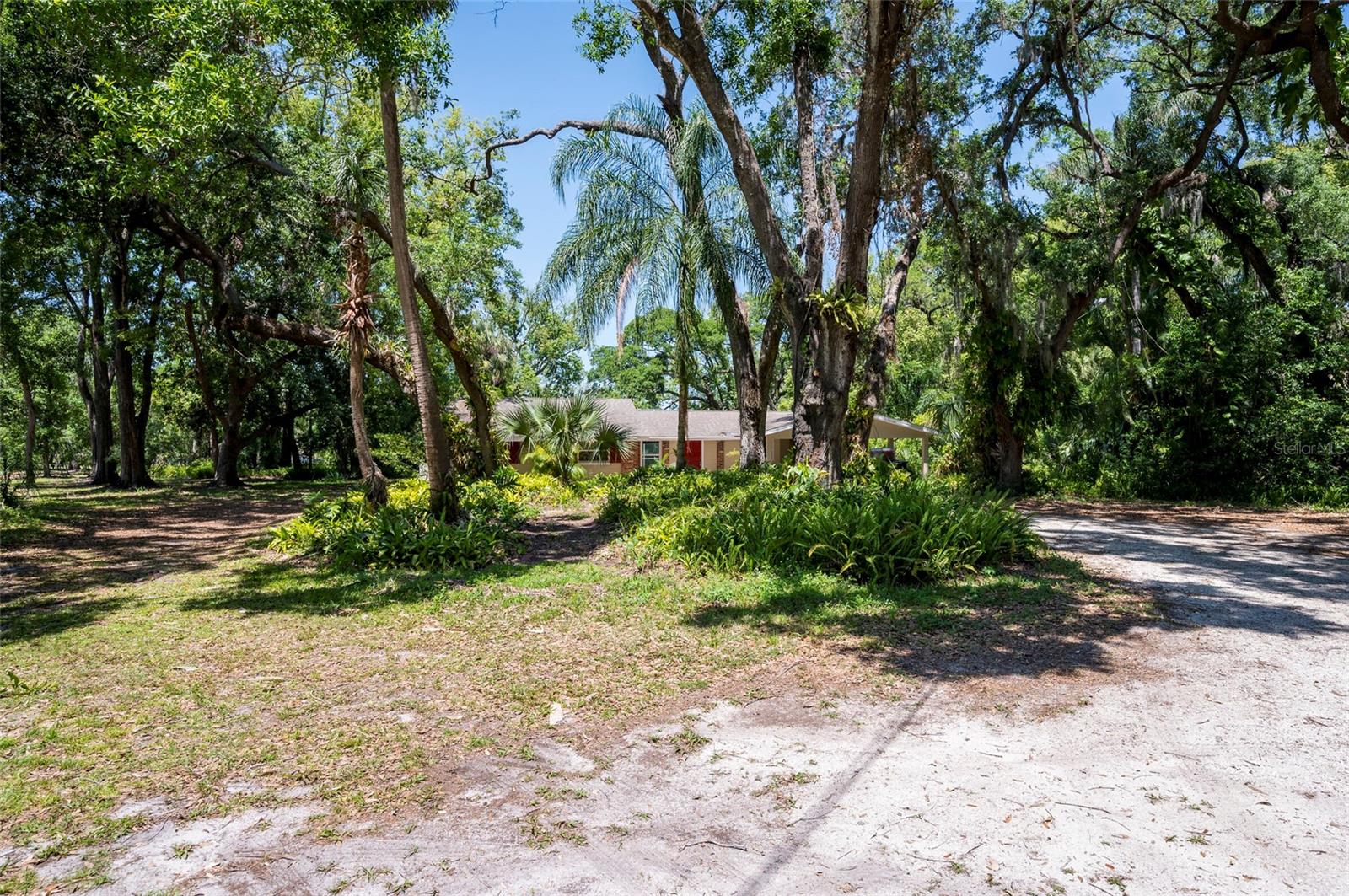 4216 N MYRTLE AVE, TAMPA, FL, 33603