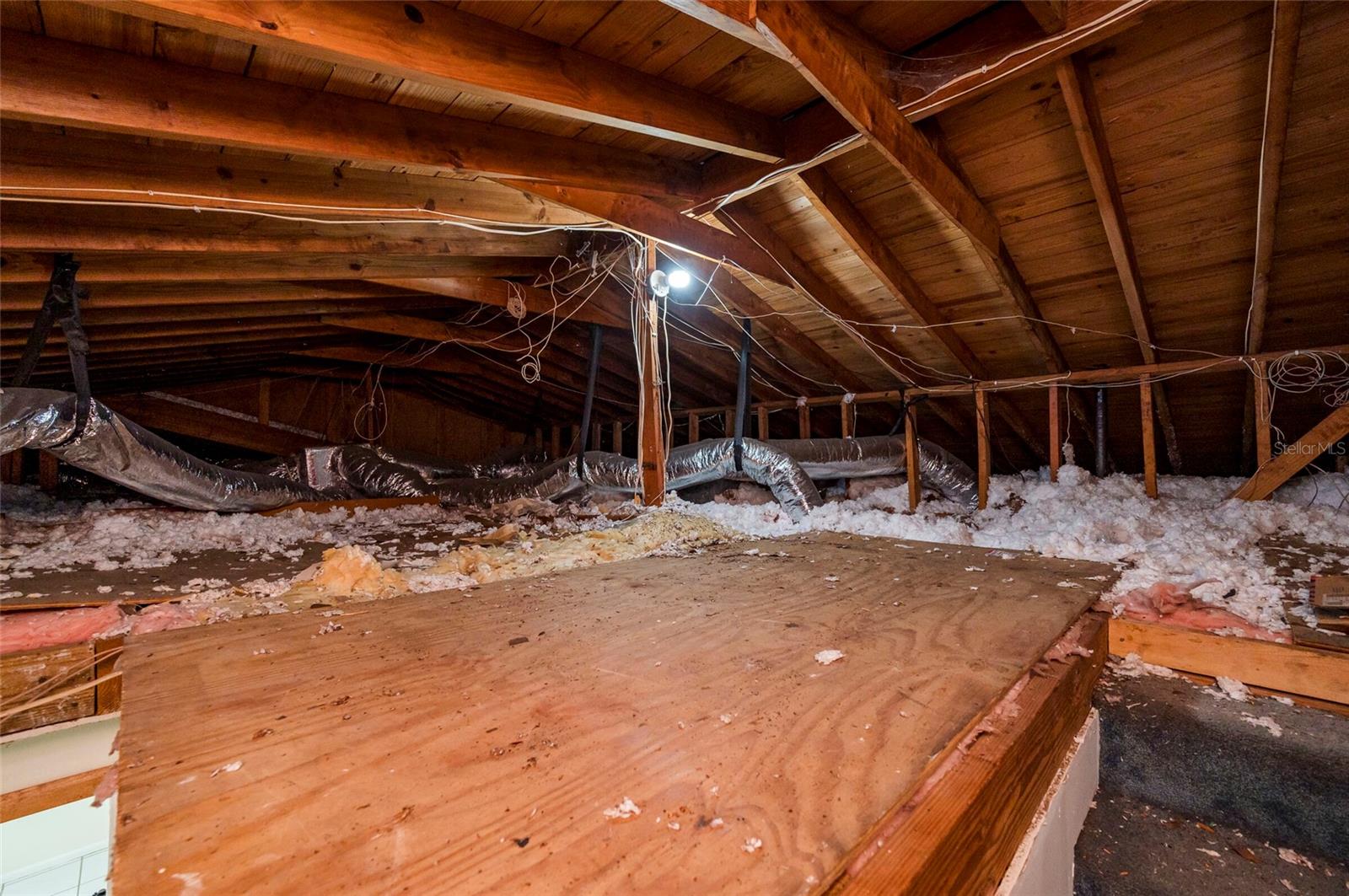 4216 N MYRTLE AVE, TAMPA, FL, 33603