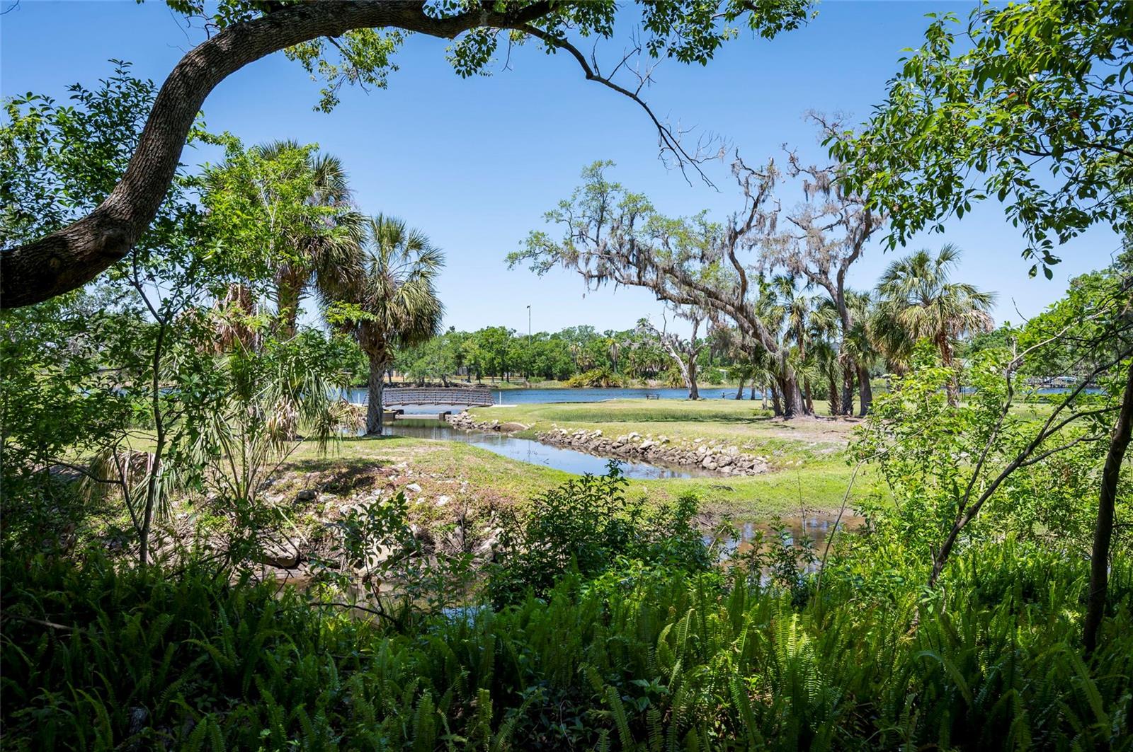 4216 N MYRTLE AVE, TAMPA, FL, 33603