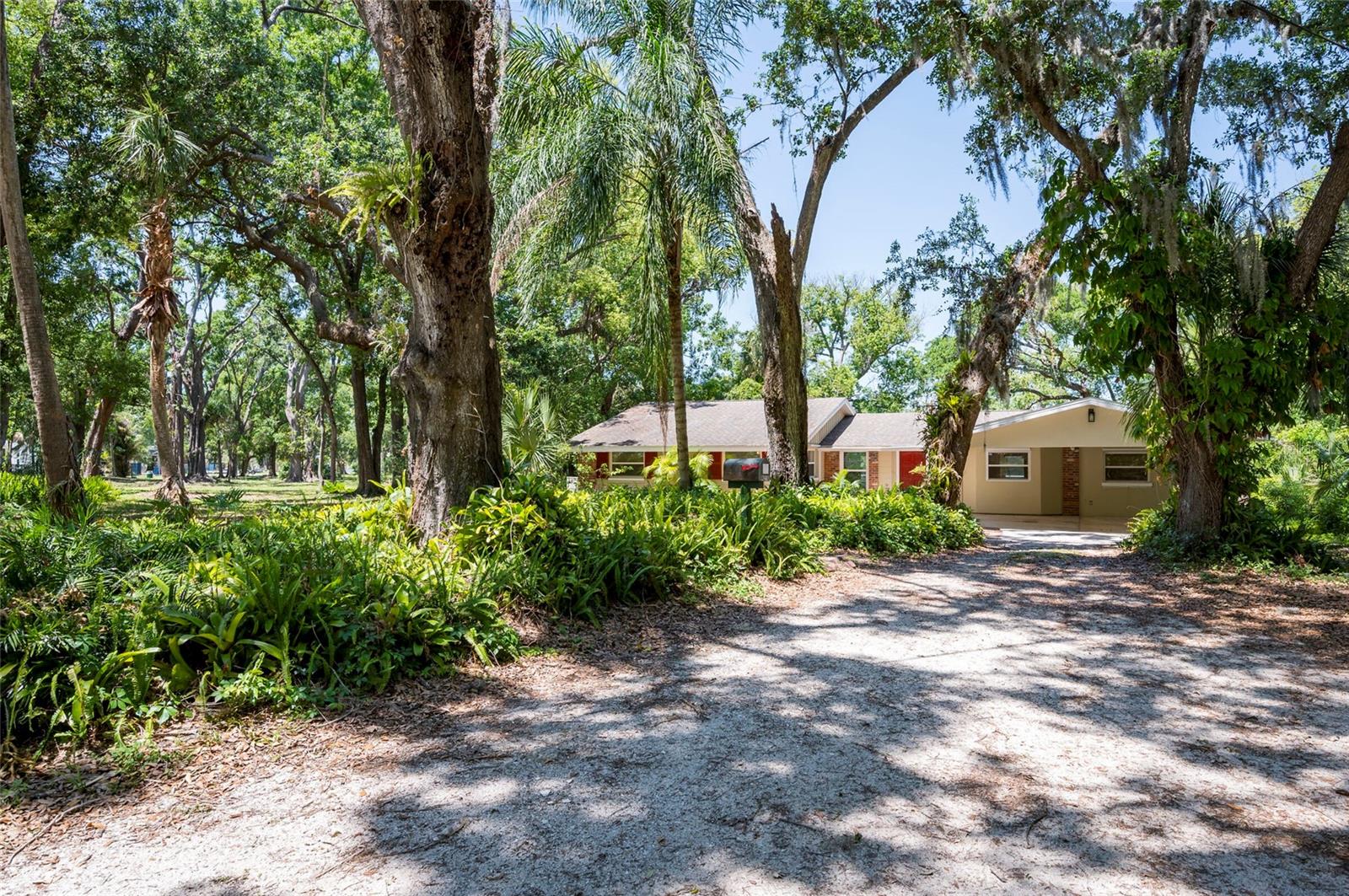 4216 N MYRTLE AVE, TAMPA, FL, 33603