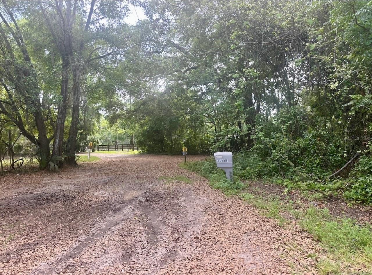 16075 NW 37TH TER, REDDICK, FL, 32686