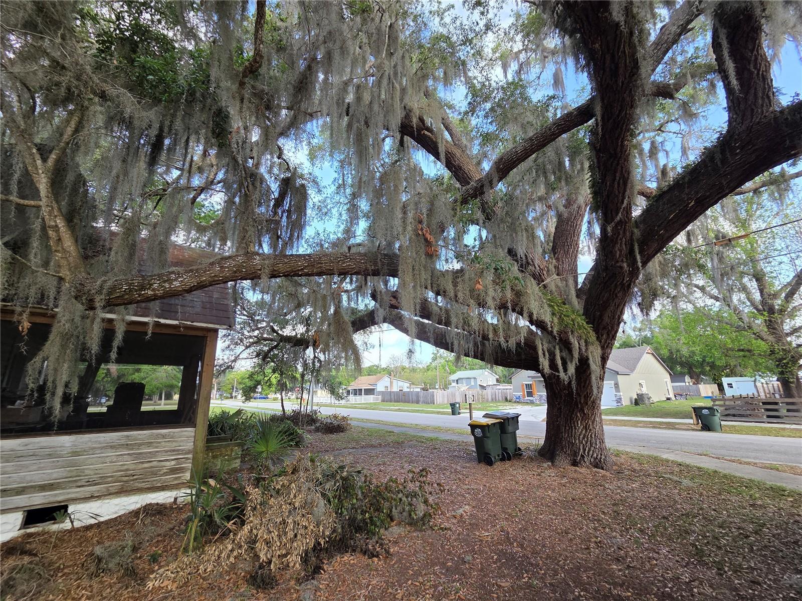 350 CASSADY ST, UMATILLA, FL, 32784