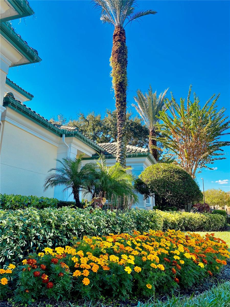 8907 LEGACY CT #14 205, KISSIMMEE, FL, 34747