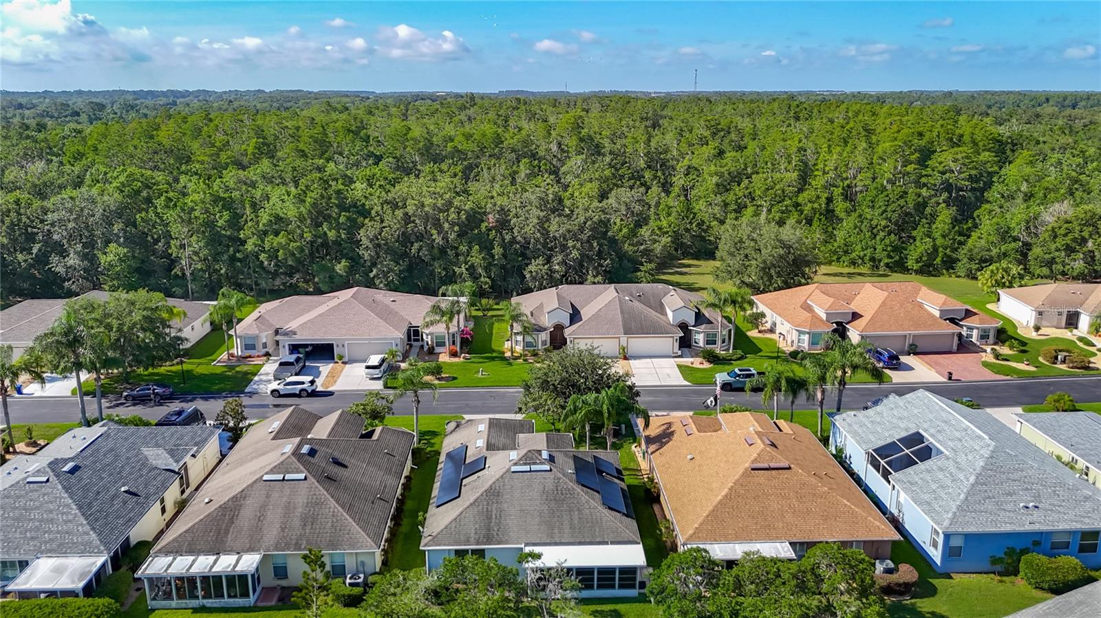 9608 ROLLING CIR, SAN ANTONIO, FL, 33576