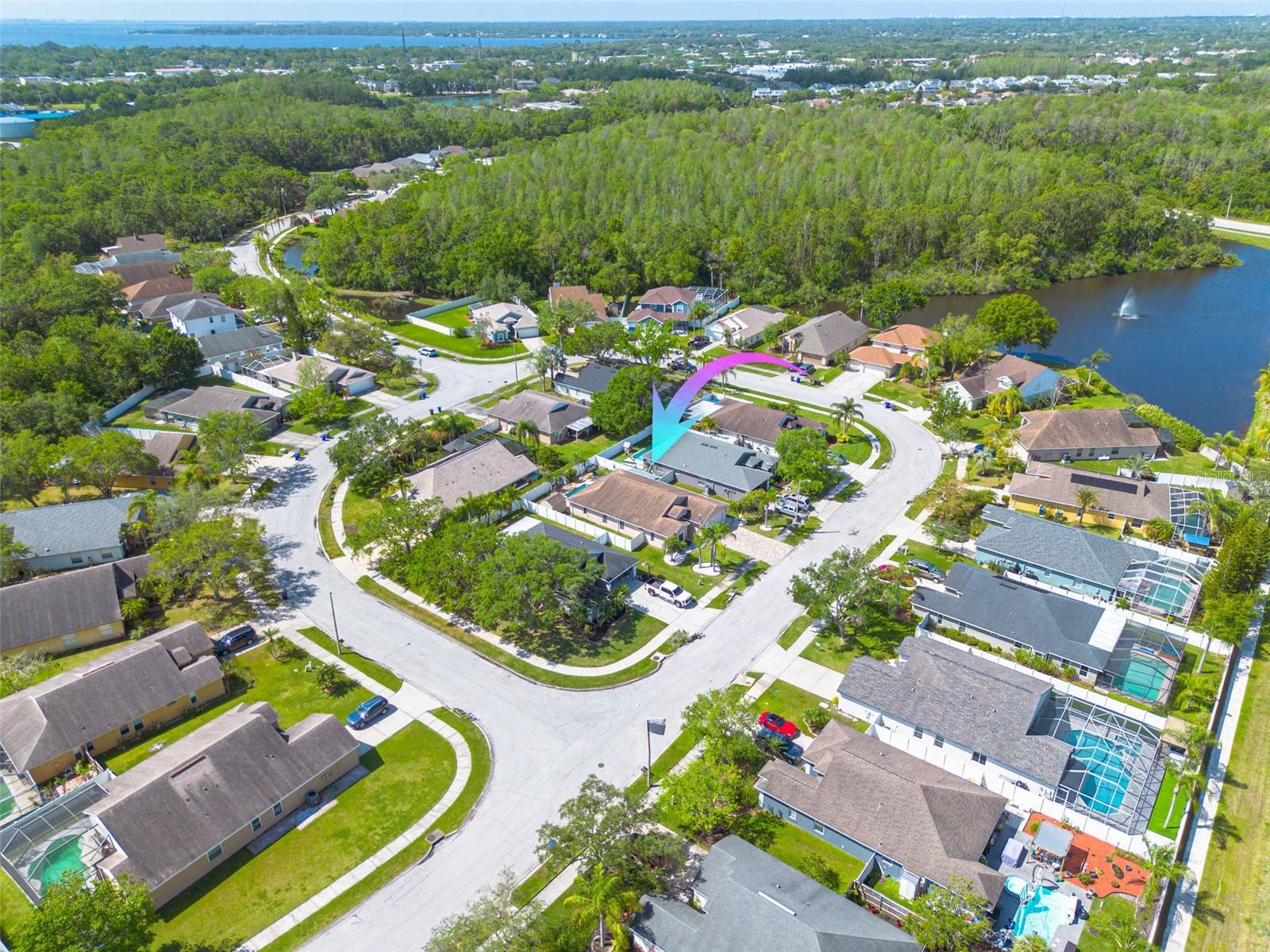 384 TAVERNIER CIR, OLDSMAR, FL, 34677