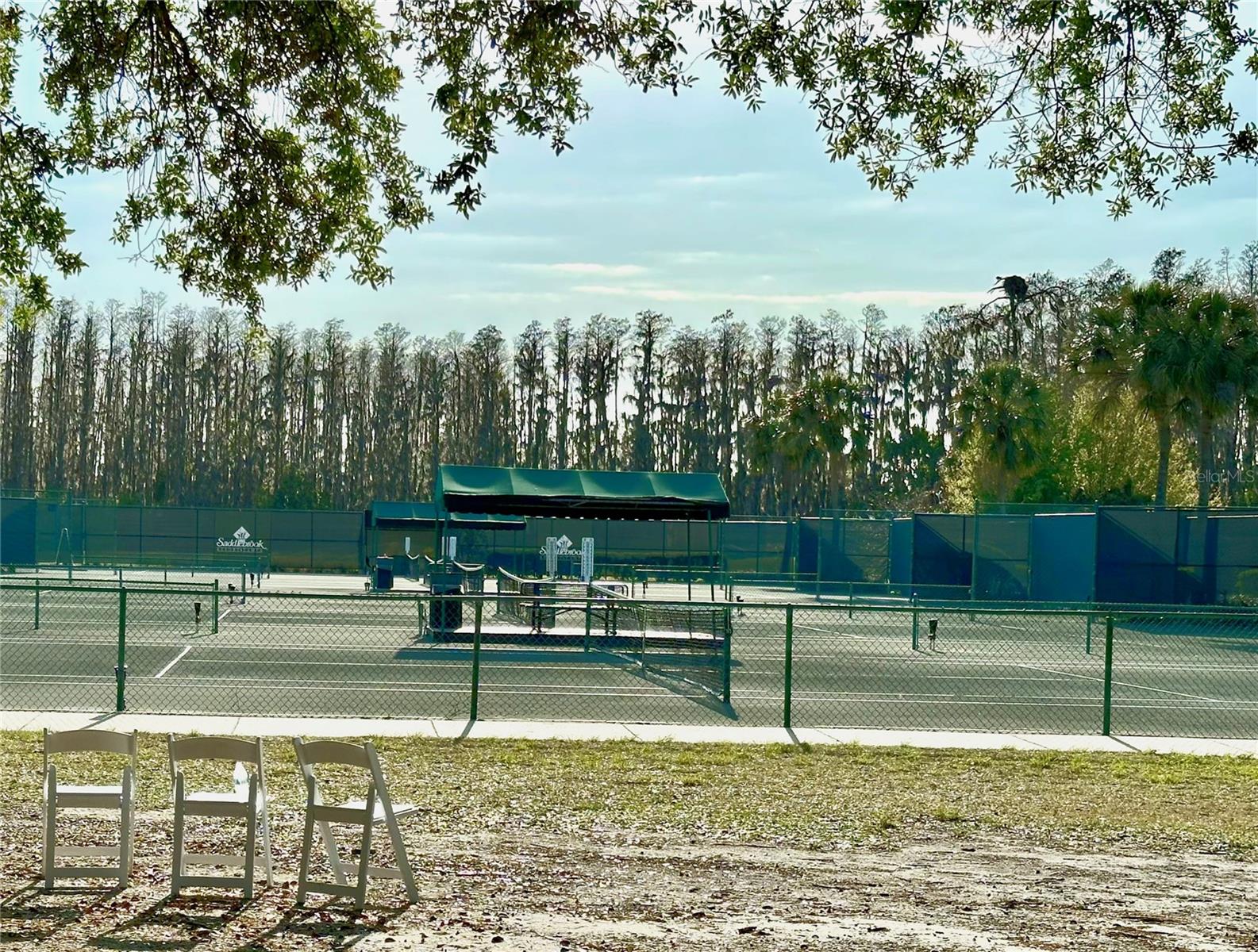 5454 SADDLEBROOK WAY #2, WESLEY CHAPEL, FL, 33543