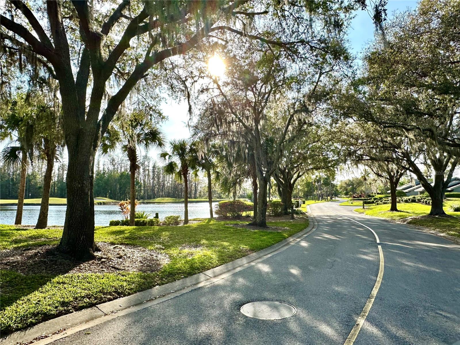 5454 SADDLEBROOK WAY #2, WESLEY CHAPEL, FL, 33543