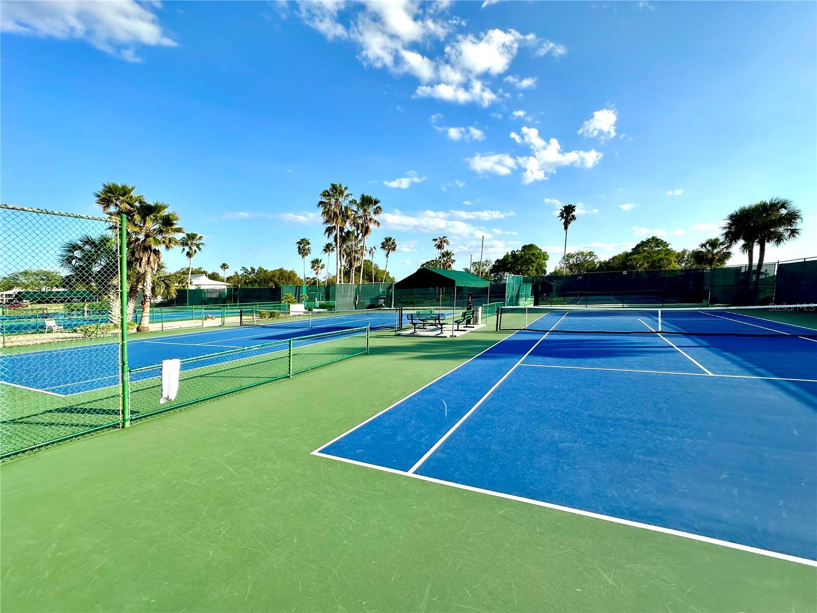 5454 SADDLEBROOK WAY #2, WESLEY CHAPEL, FL, 33543