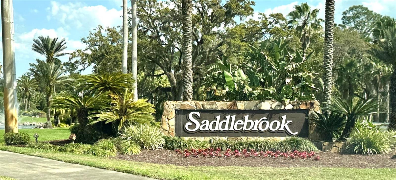 5454 SADDLEBROOK WAY #2, WESLEY CHAPEL, FL, 33543