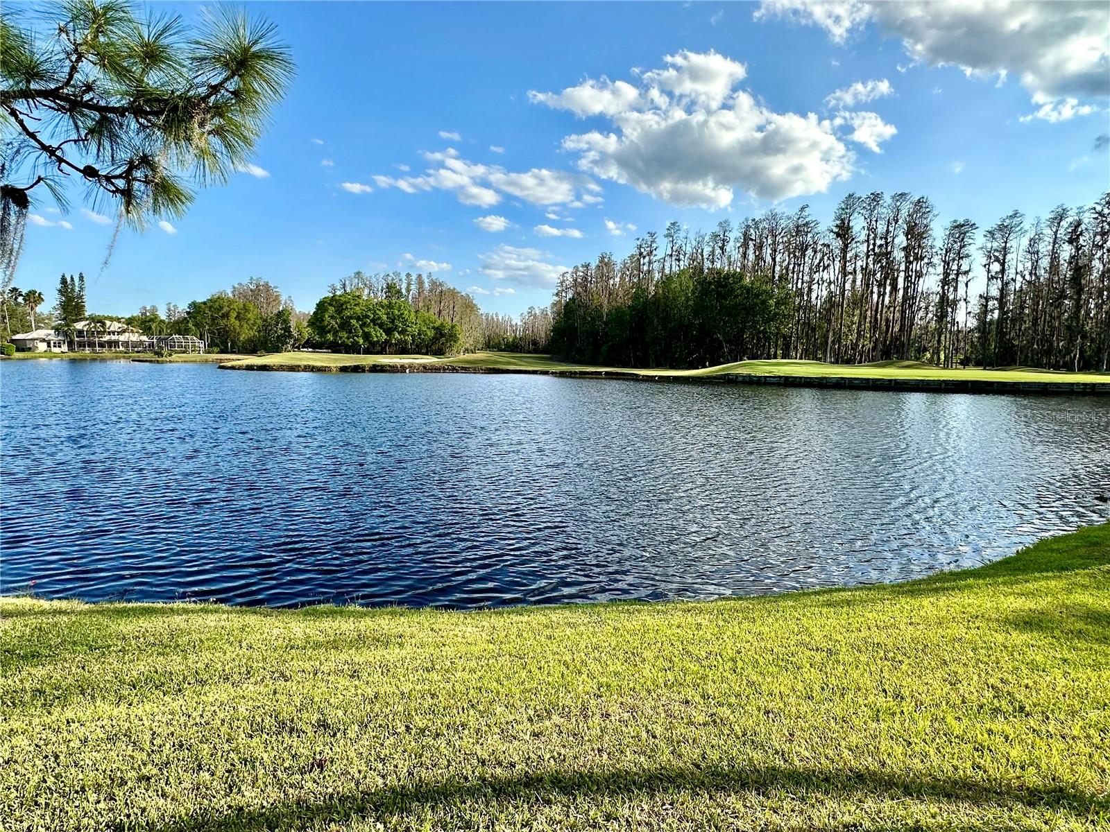 5454 SADDLEBROOK WAY #2, WESLEY CHAPEL, FL, 33543