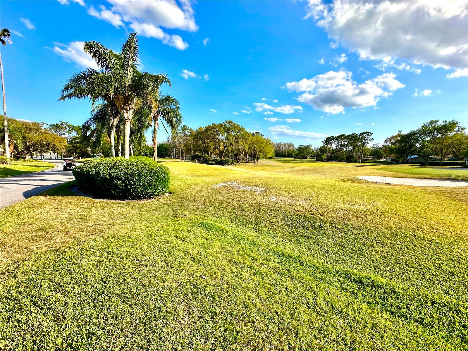 5454 SADDLEBROOK WAY #2, WESLEY CHAPEL, FL, 33543