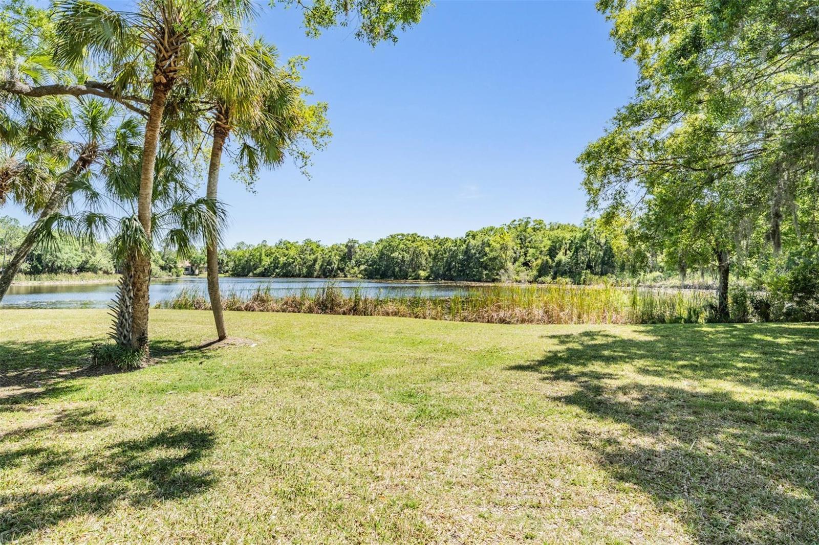 15810 STANTON LN, TAMPA, FL, 33647