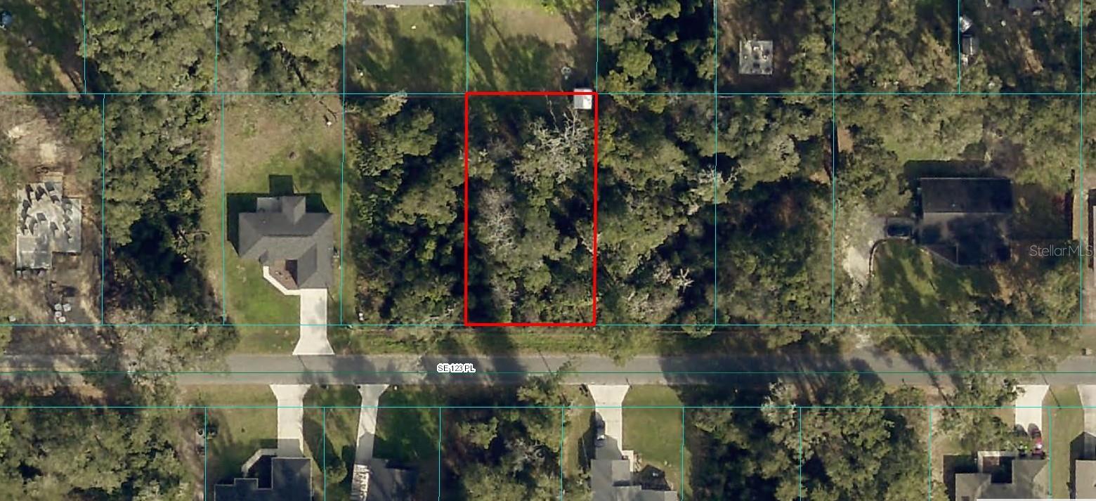 SE 123RD PL, BELLEVIEW, FL, 34420