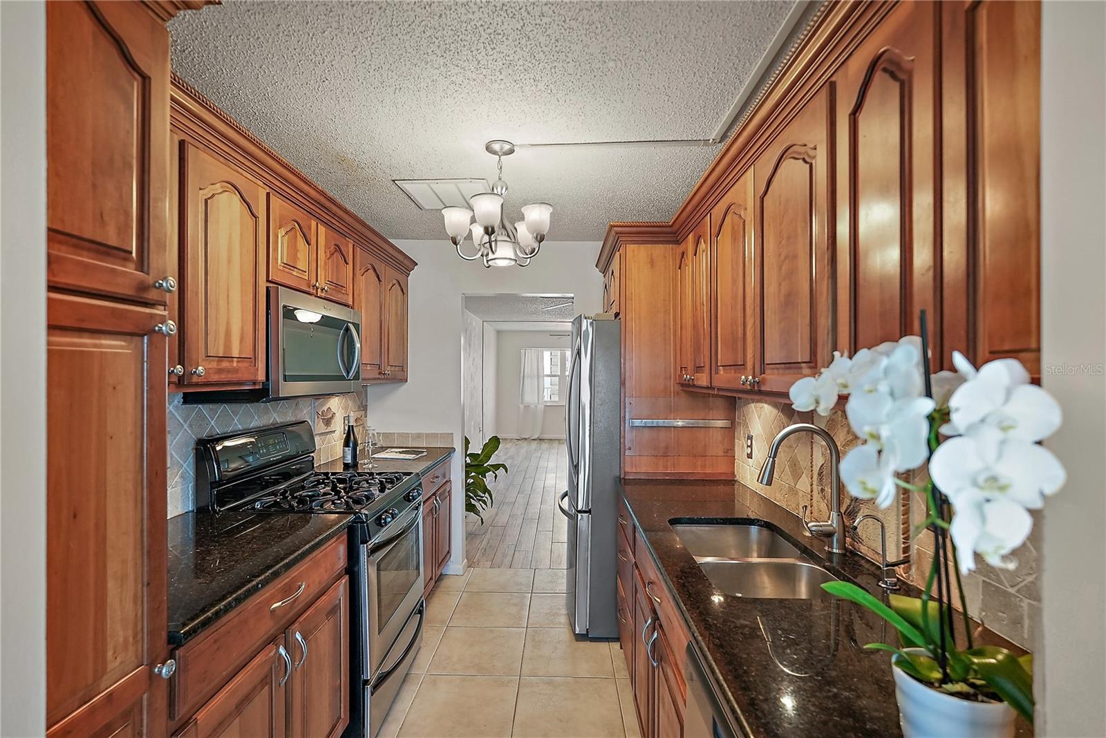 6075 SHORE BLVD S #509, GULFPORT, FL, 33707