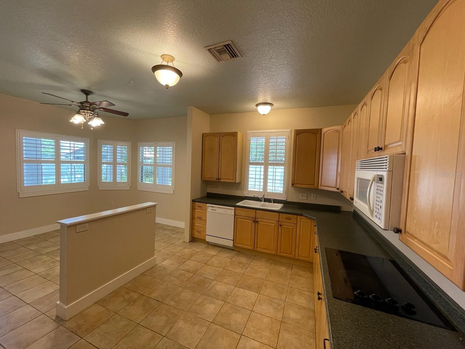 25721 PINEHURST ST, SORRENTO, FL, 32776