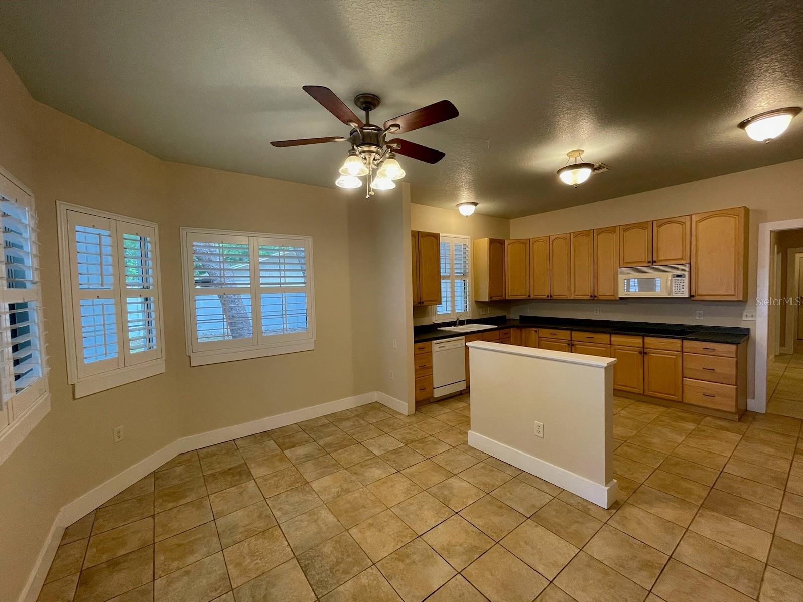 25721 PINEHURST ST, SORRENTO, FL, 32776