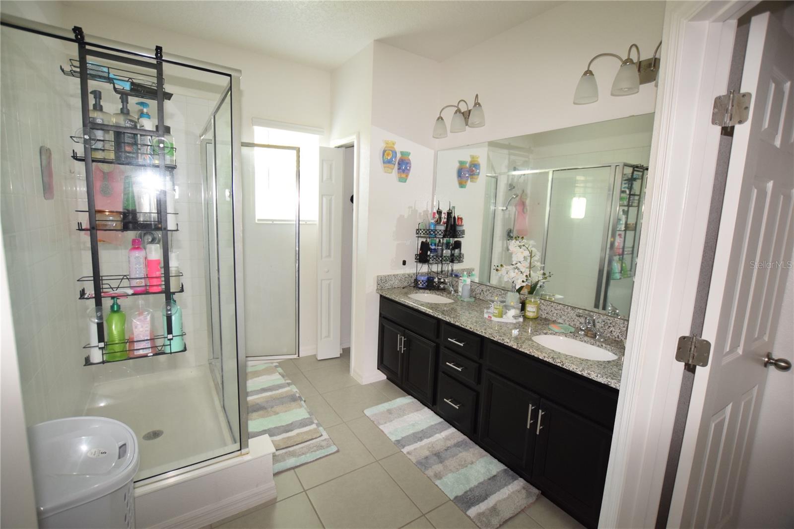 1008 E 10TH ST, APOPKA, FL, 32703