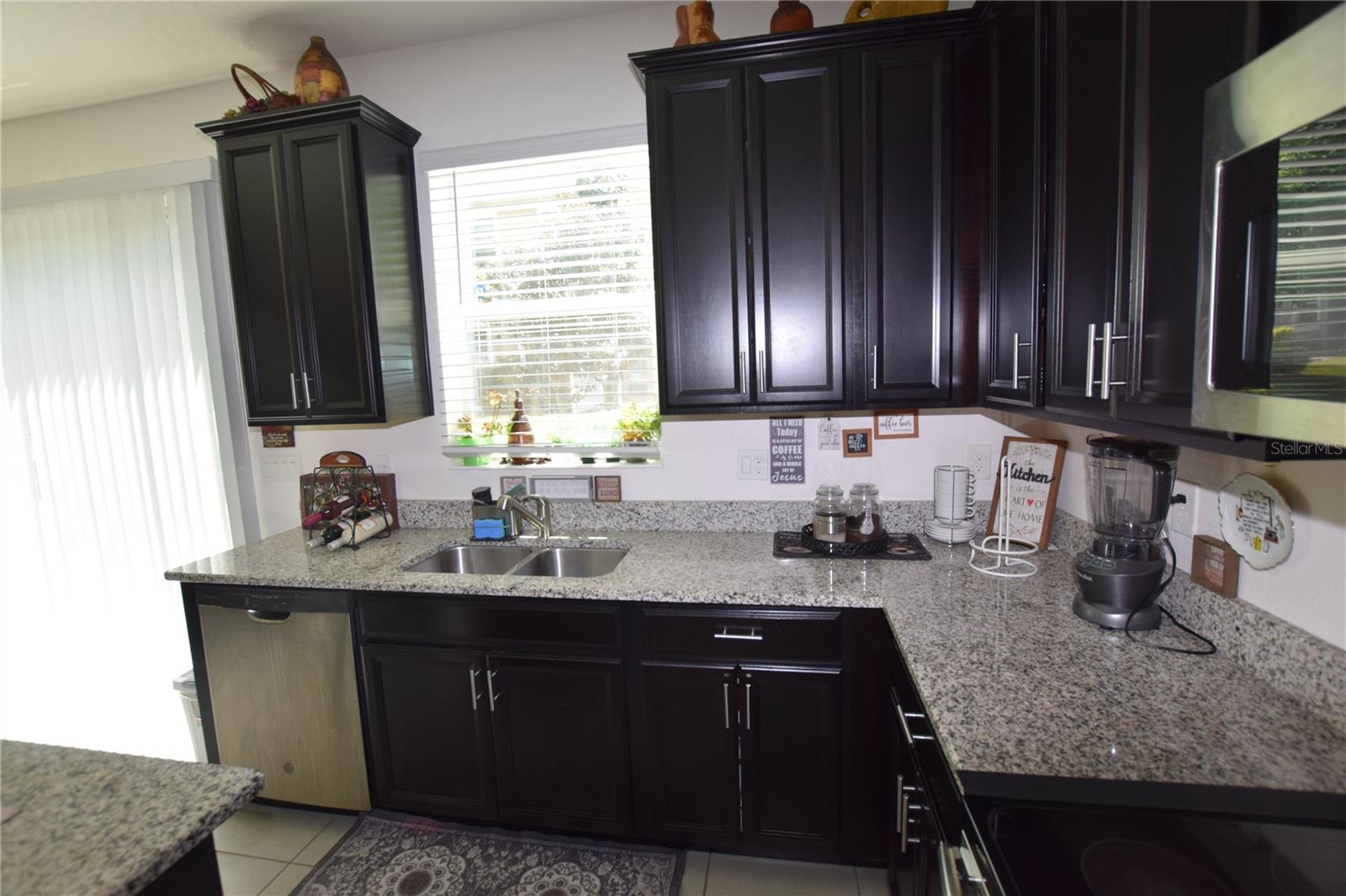 1008 E 10TH ST, APOPKA, FL, 32703