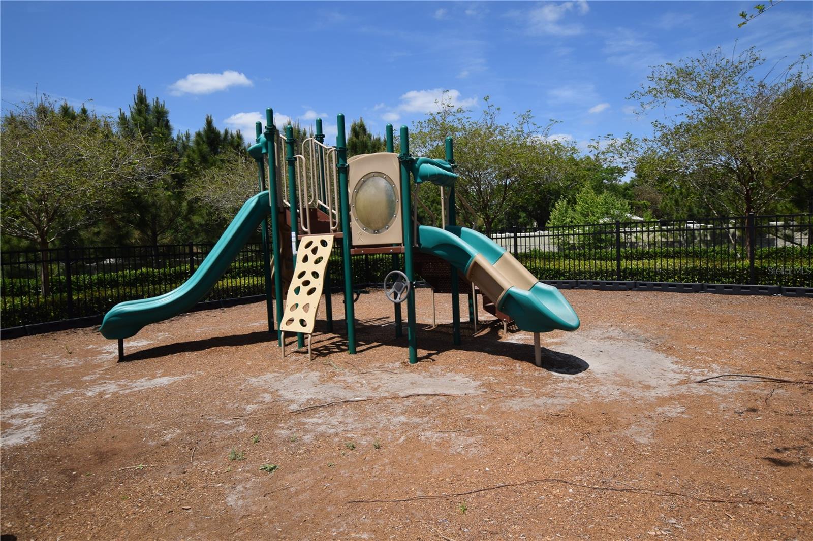 1008 E 10TH ST, APOPKA, FL, 32703