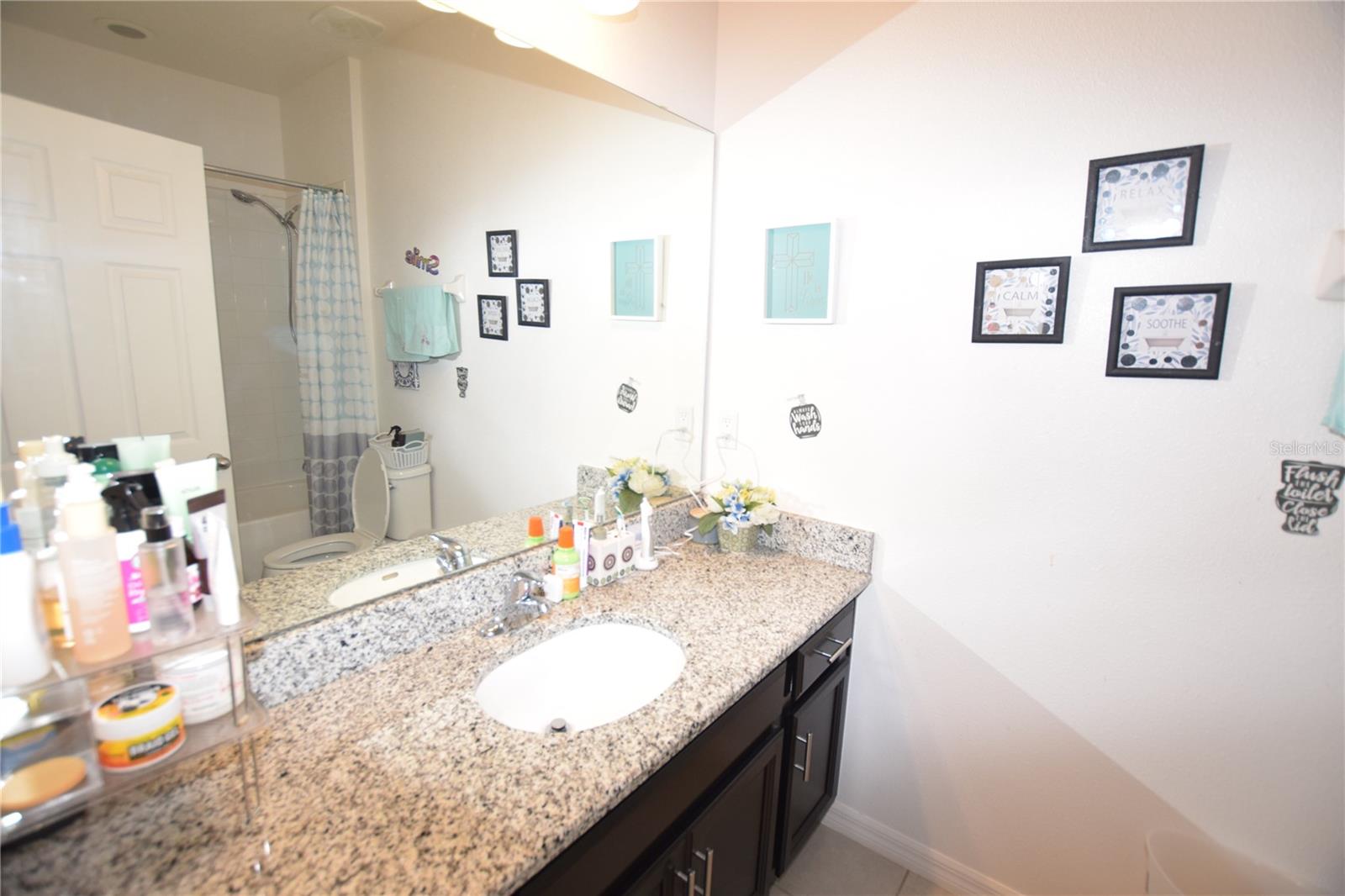 1008 E 10TH ST, APOPKA, FL, 32703