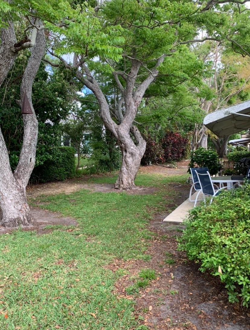 1679 S LAKE AVE #4, CLEARWATER, FL, 33756