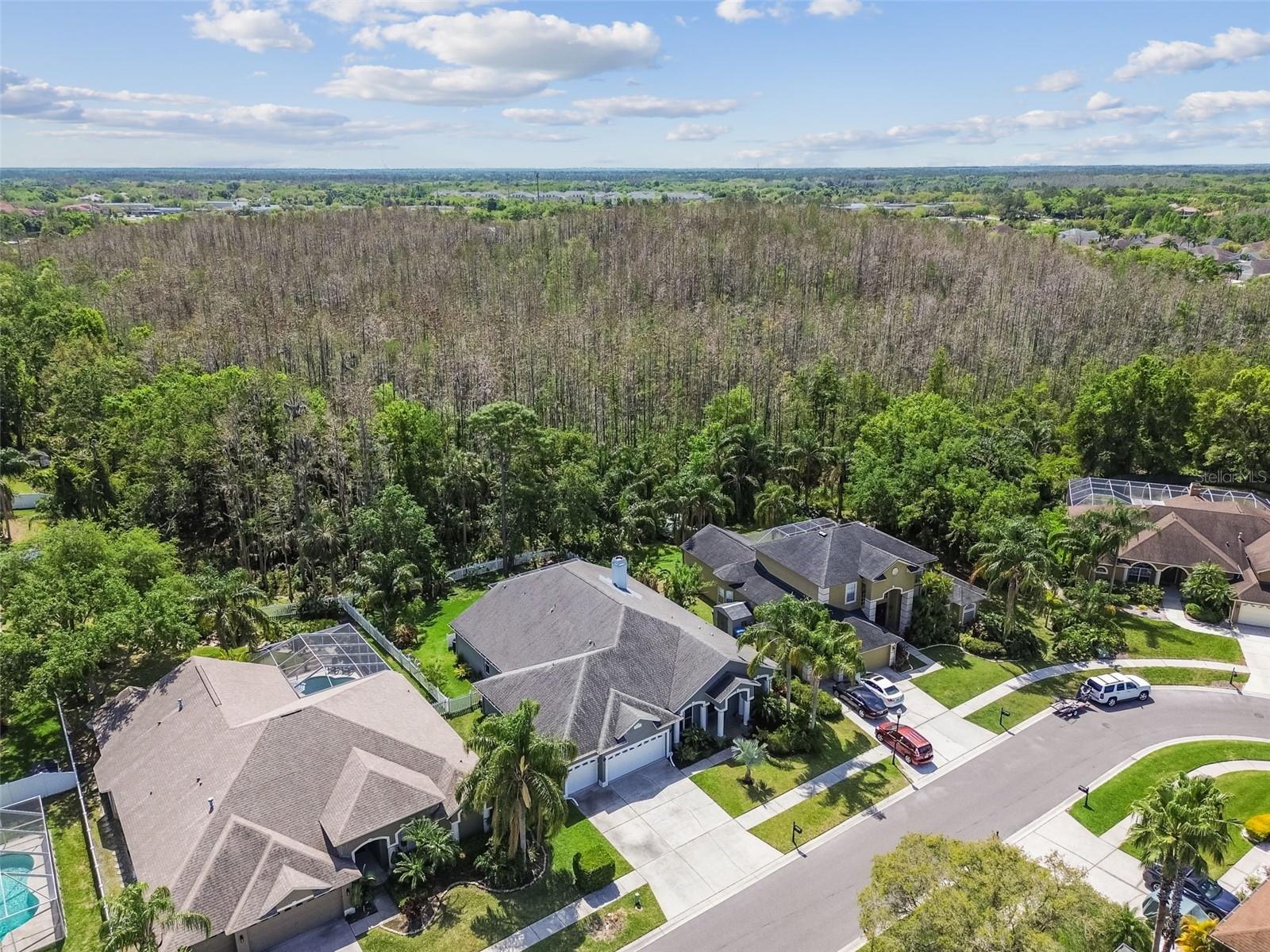 18025 KINGS PARK DR, TAMPA, FL, 33647