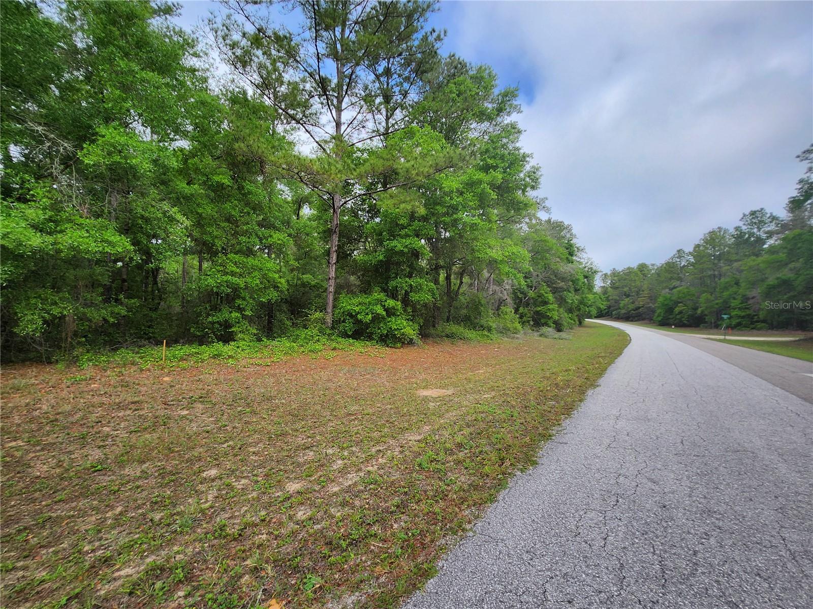 9209 (Lot 19) N ATHENIA DR, DUNNELLON, FL, 34434