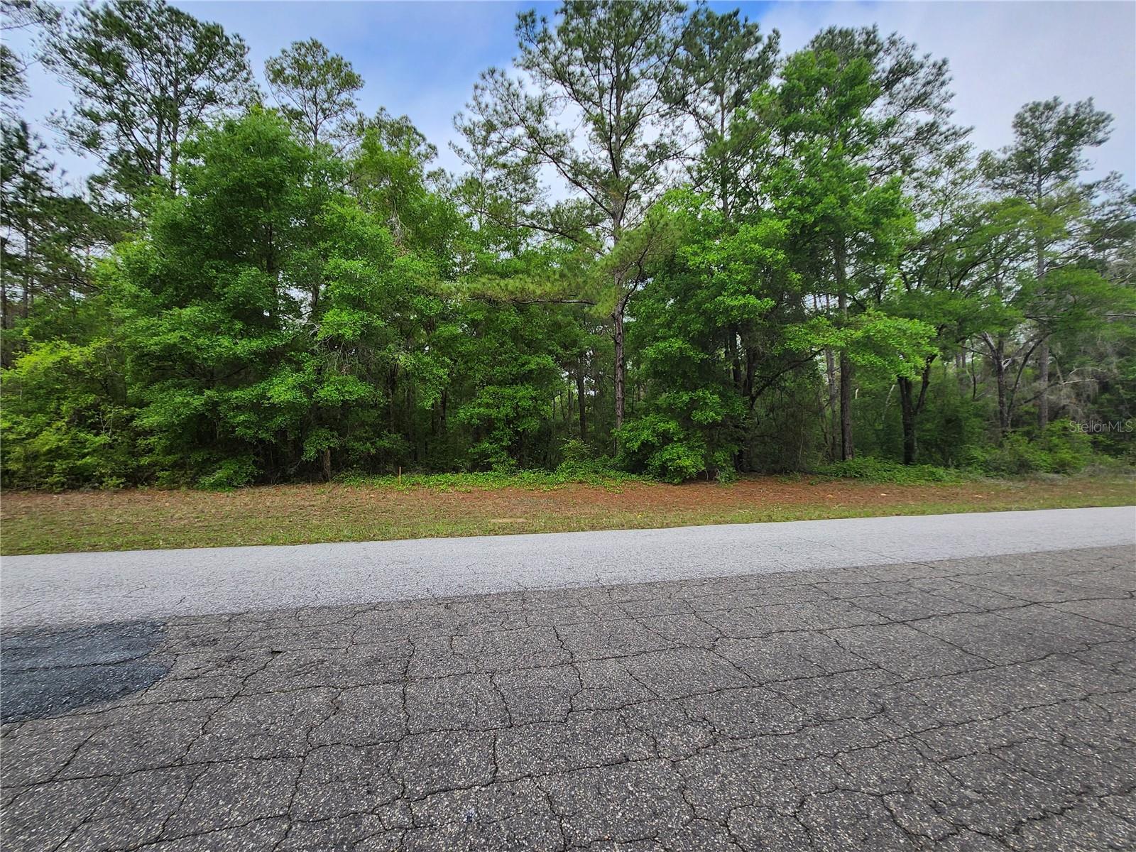 9209 (Lot 19) N ATHENIA DR, DUNNELLON, FL, 34434