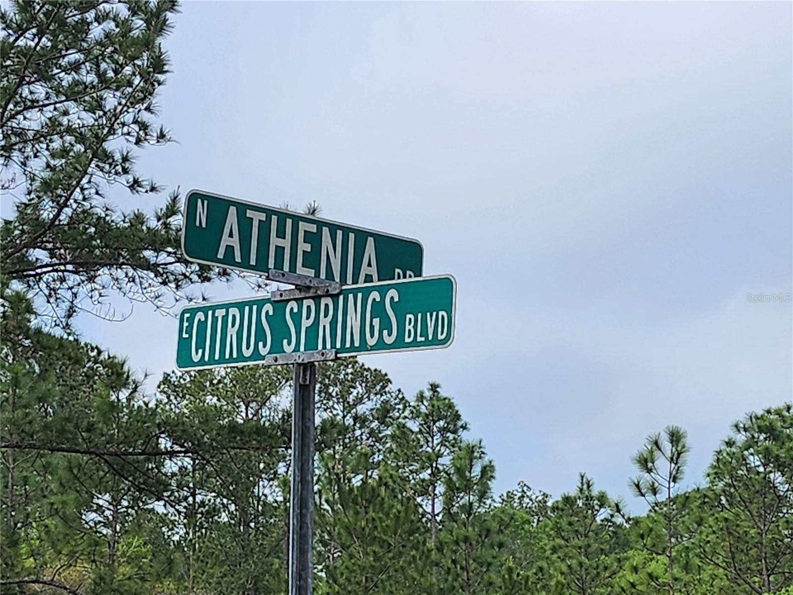 9209 (Lot 19) N ATHENIA DR, DUNNELLON, FL, 34434