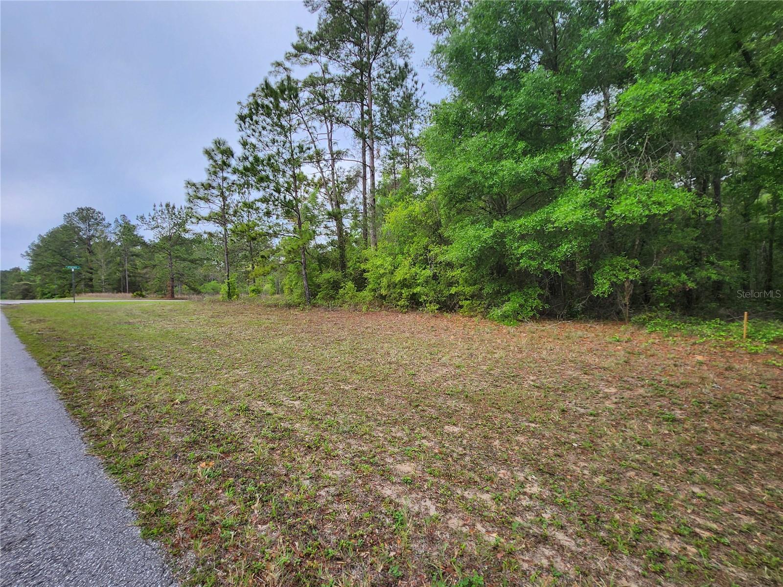 1629 E CITRUS SPRINGS BLVD #18, DUNNELLON, FL, 34434