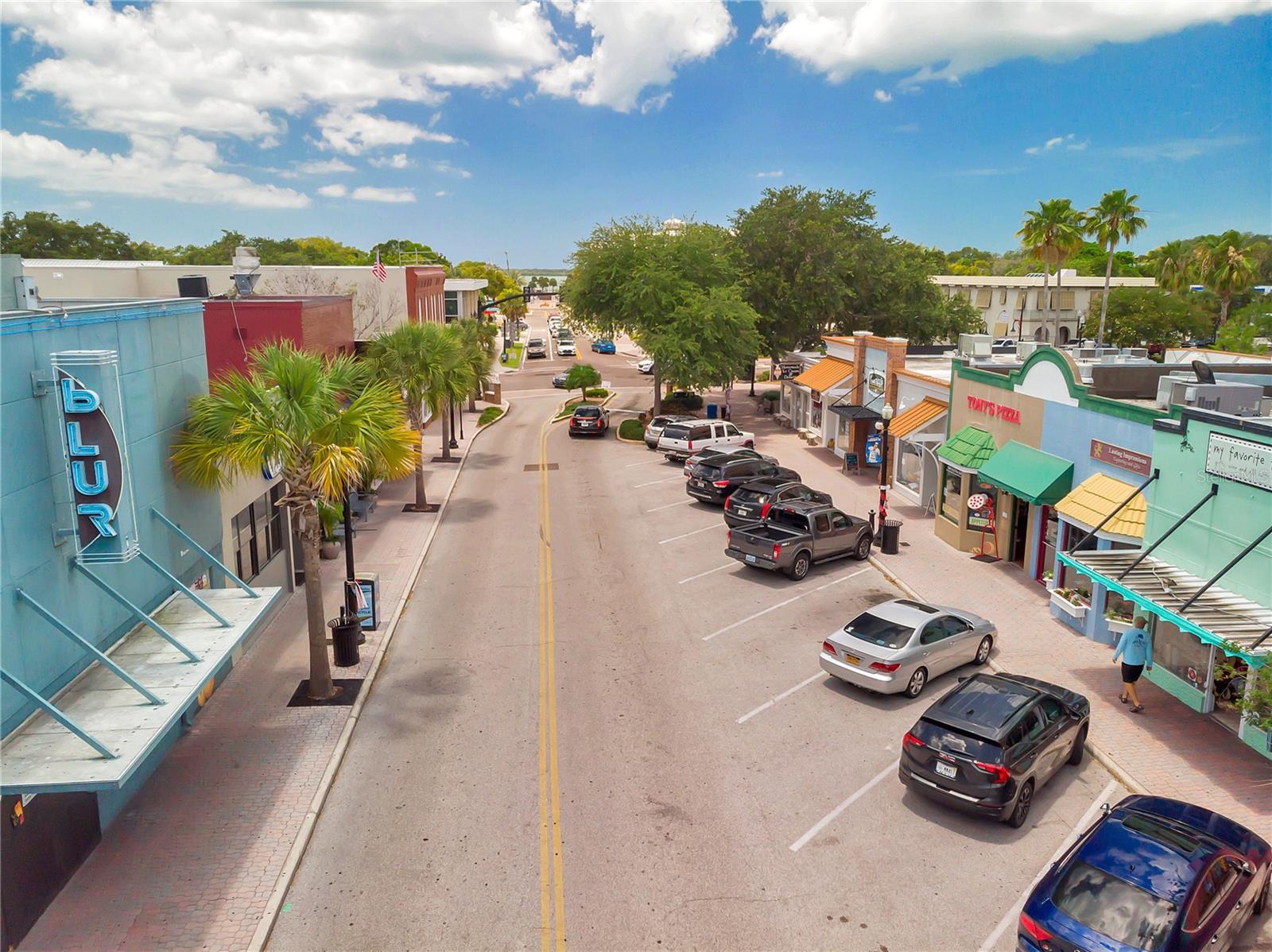 1836 DOUGLAS AVE, DUNEDIN, FL, 34698