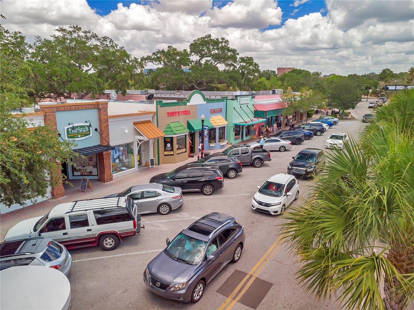 1836 DOUGLAS AVE, DUNEDIN, FL, 34698