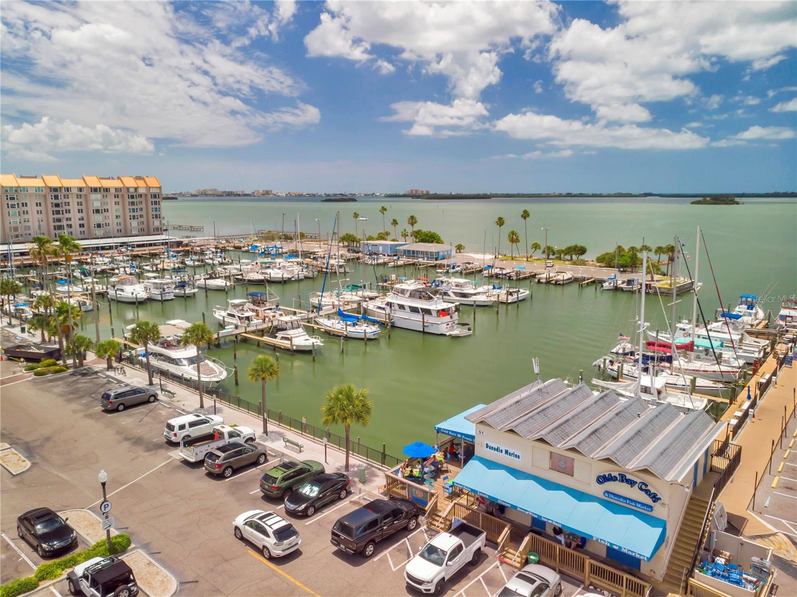 1836 DOUGLAS AVE, DUNEDIN, FL, 34698