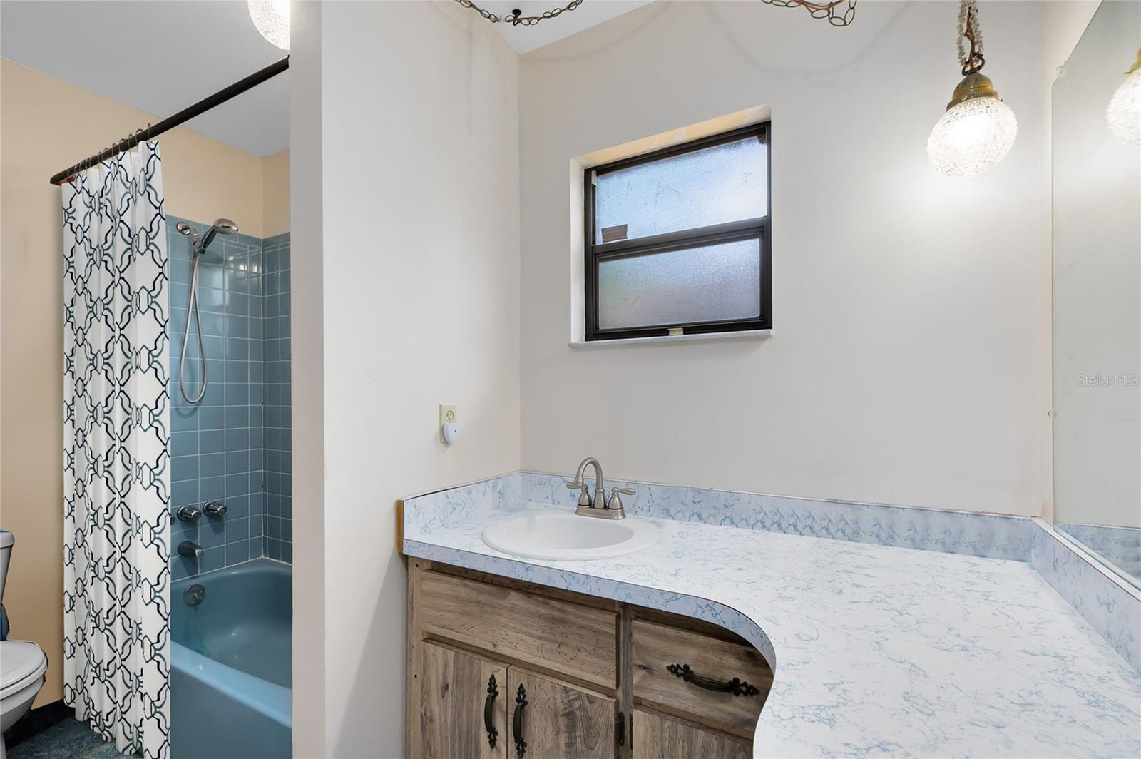 25548 PINE VALLEY DR, MOUNT PLYMOUTH, FL, 32776
